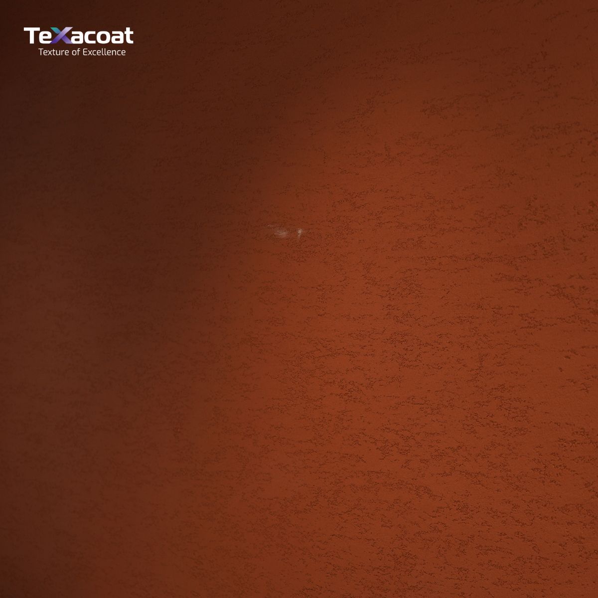 Vữa hiệu ứng thiên thạch XS-020 - Ảnh 2