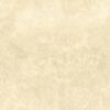 Màu T2705