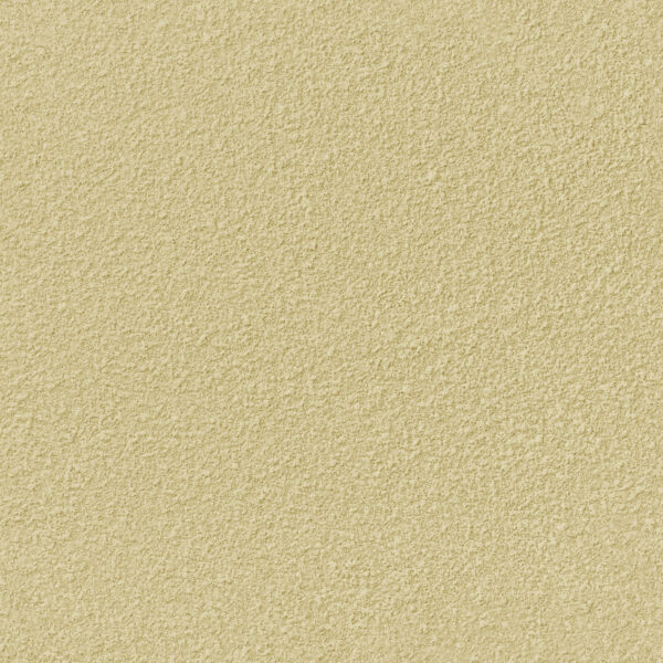 Vữa hiệu ứng sần hạt nhỏ XS-042 - Hình ảnh 2