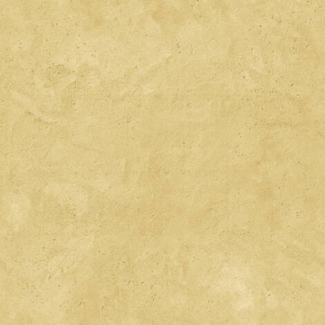 Vữa hiệu ứng mẫu đá vôi - XS21