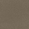 Màu T5022