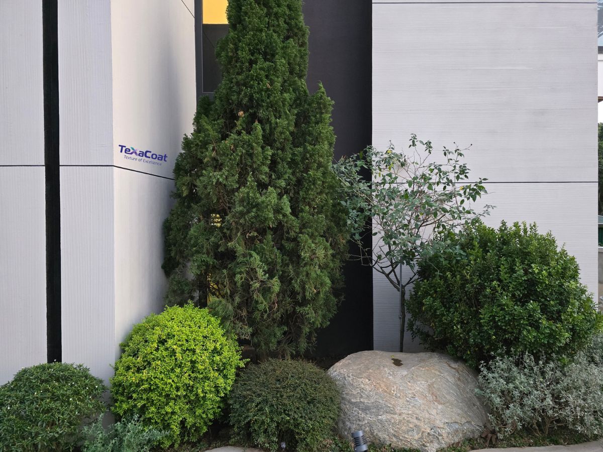 Villa ông Giáo Review