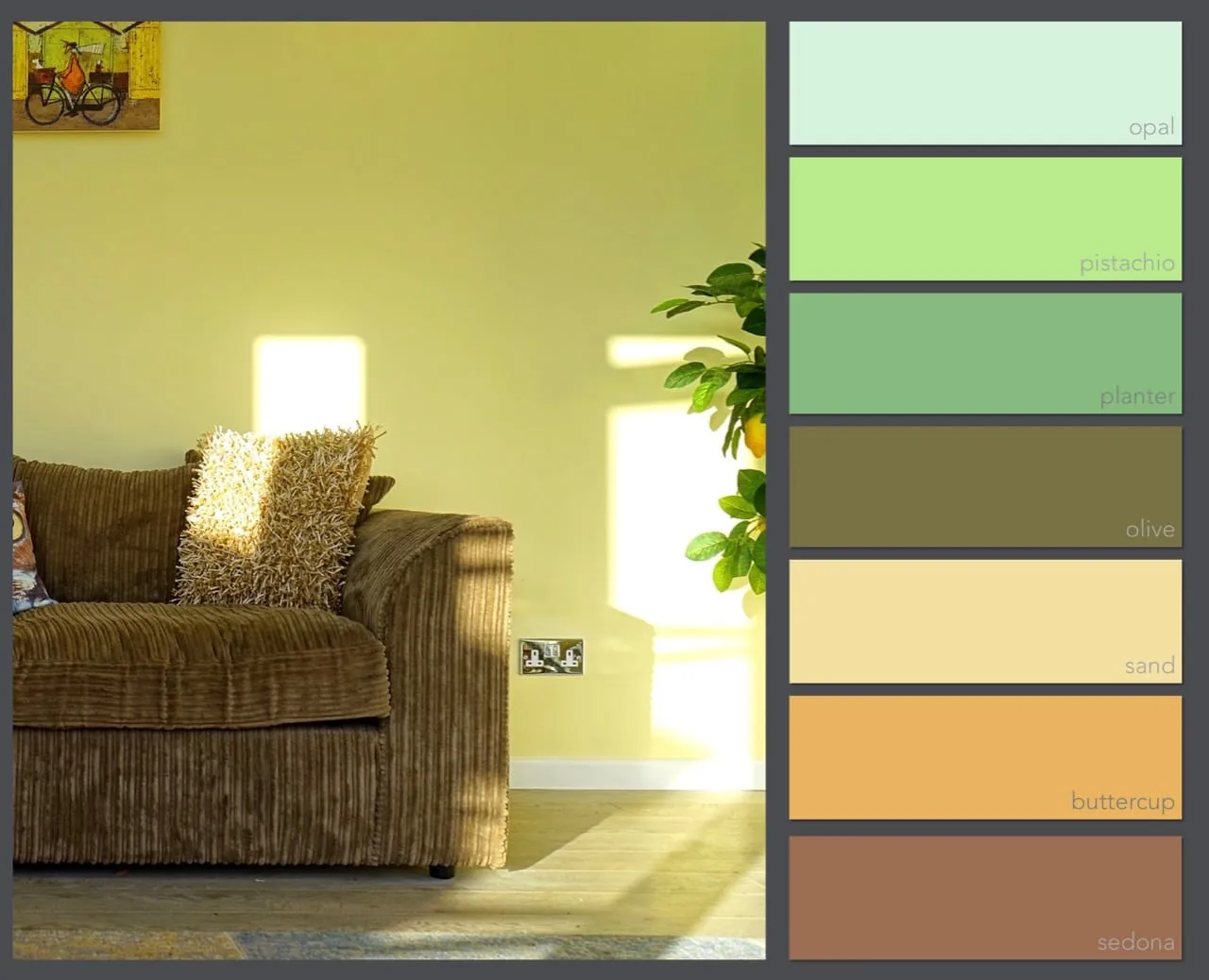 Bộ phối màu 02: opal, pistachio, planter, olive, sand, buttercup, sedona